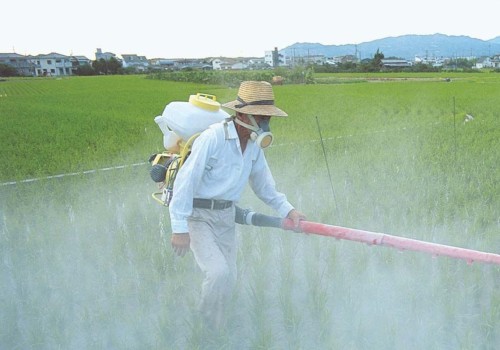 What are the advantages and disadvantages of chemical pesticides?