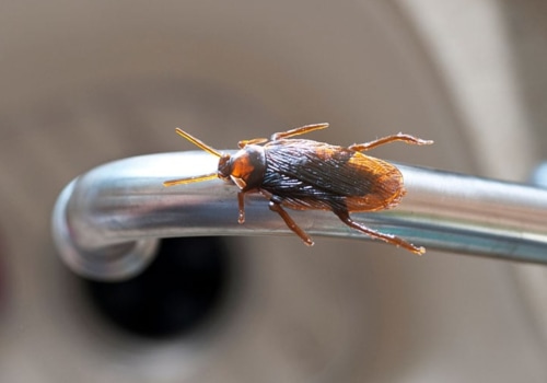 What are the types of pest control?